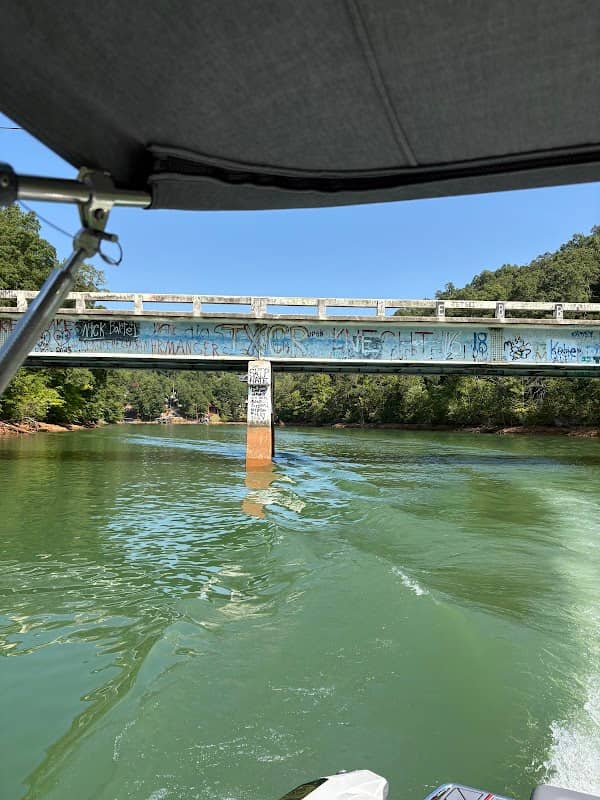 Norris Lake Jumping Bridge - Image 2
