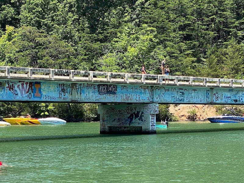 Norris Lake Jumping Bridge - Image 1