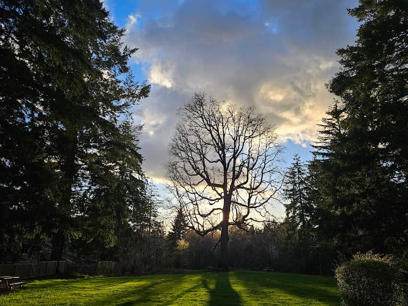 Roy Dancer Park - Image 3