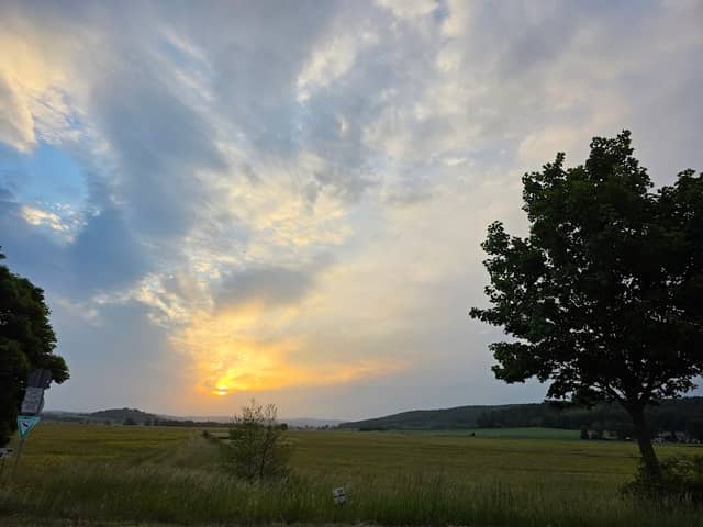 Im Rußland und in der Kuhweide - Image 1