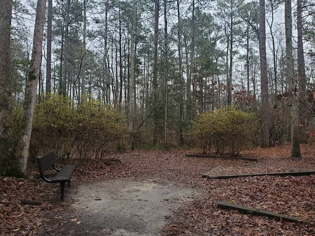 Azalea Gardens - Image 1