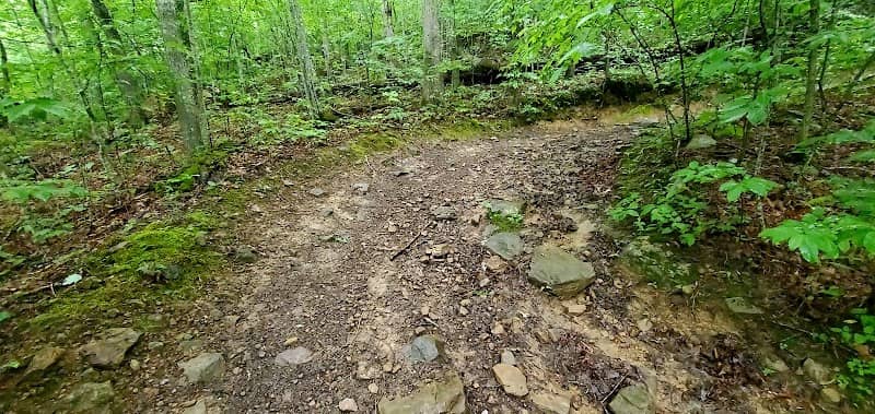 Sheltowee Trace- McKee Trailhead - Image 2