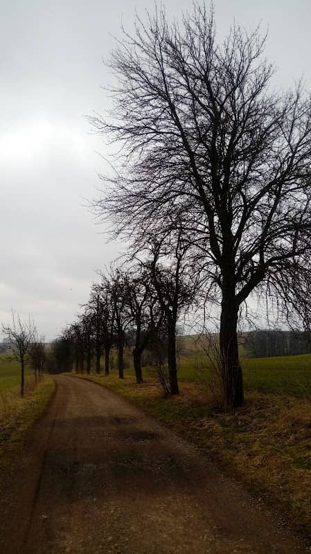 Landschaftsschutzgebiet"Hirschgrund" - Image 1