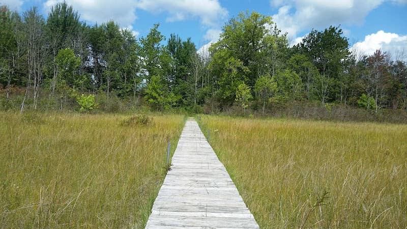 Jeptha Lake Fen - Image 1