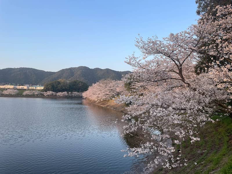 立岡池 - Image 1