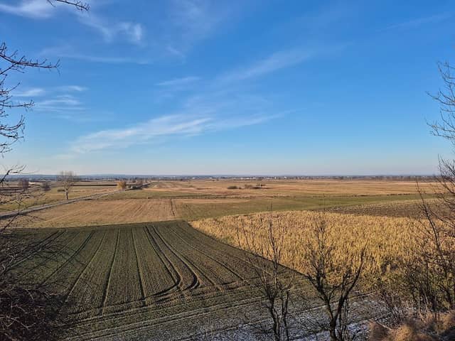 Naturschatz Am Moosberg Langenmosen - Image 1