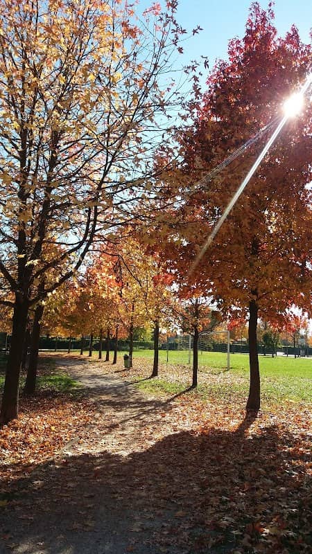 Parco degli Alpini - Image 1