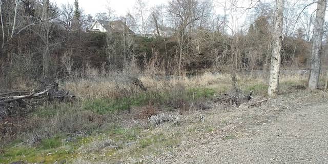 Little Butte Park - Image 3