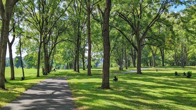 South Hills Park - Image 1