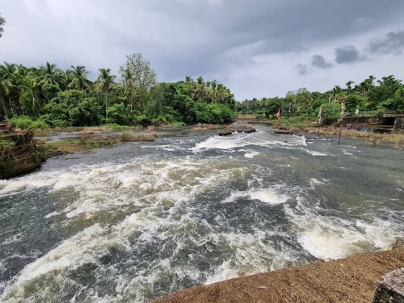 Parannur chira - Image 1