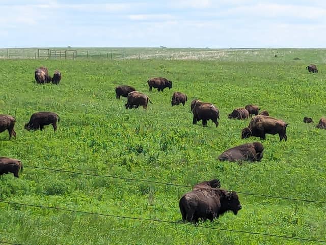 Dunn Ranch Prairie - Image 1