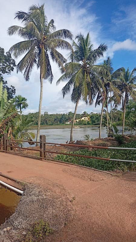 Vellachangalam View Point - Image 1