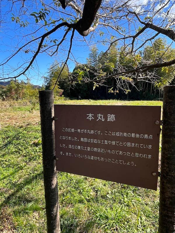 Tojo Castle Ruins - Image 1