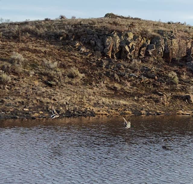 Grand coulee Hill Road - Image 2