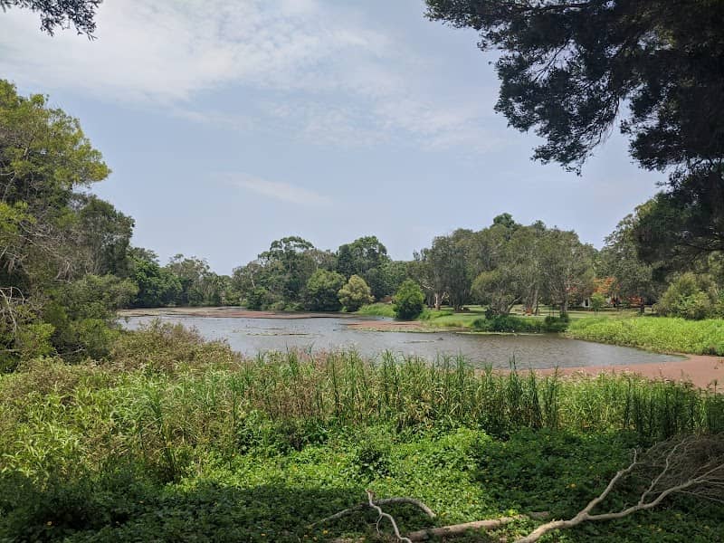 Waterlily Park - Image 2