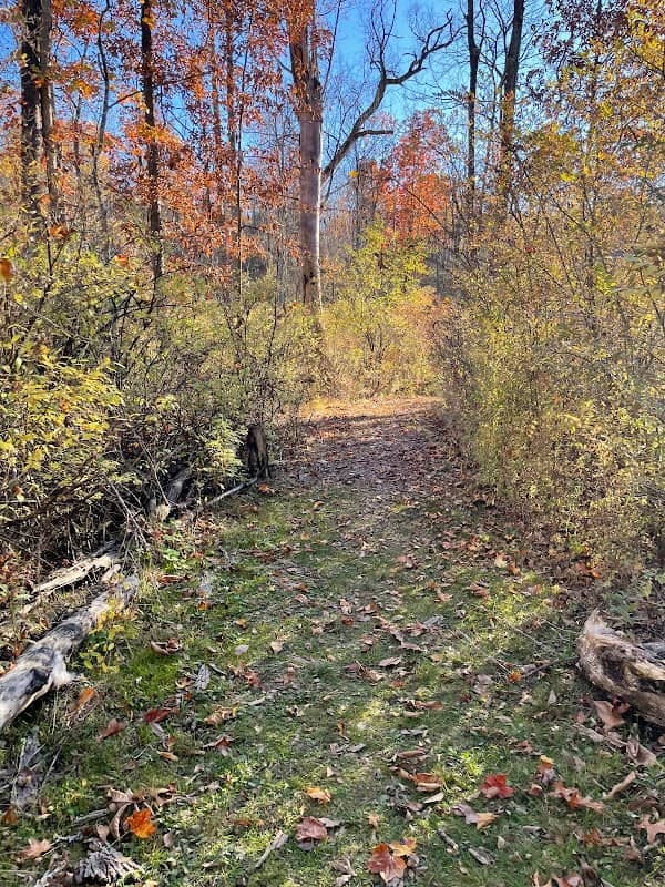 Valley View County Park - Image 2