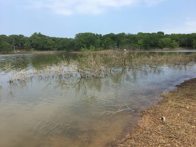 Coral Cove Park - Image 2