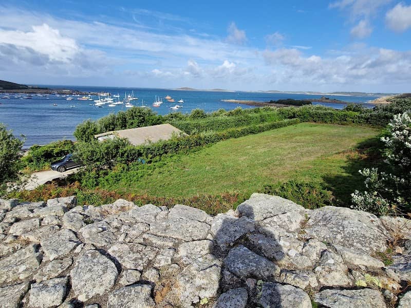 Harry's Walls - Image 2
