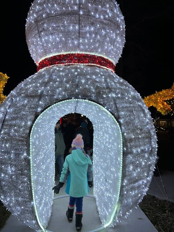 Holiday Lights on Main - Image 1