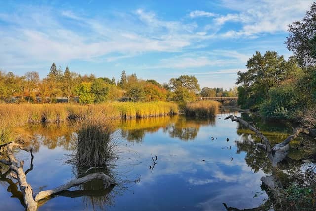 Del Meyer Park - Image 2