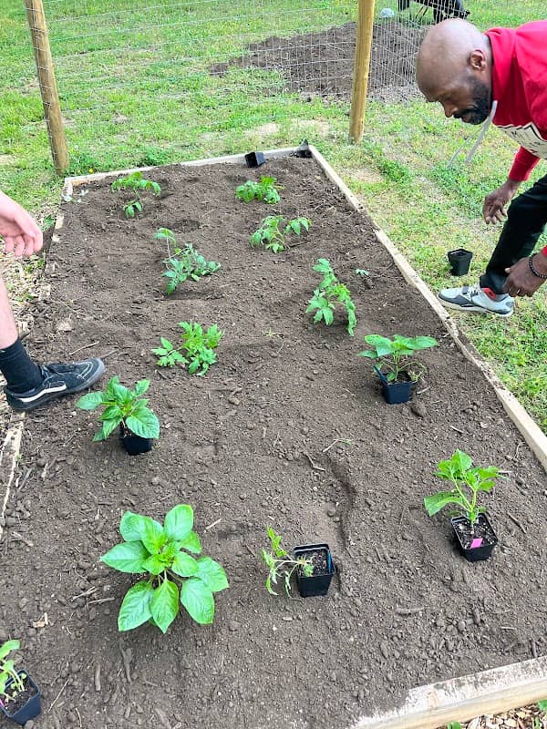 Hope House Community Garden - Image 1