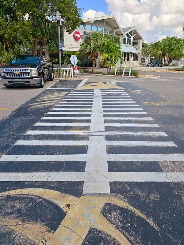 The Fish-Crosswalk - Image 2