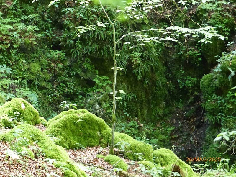 Pozzo a S del Col della Rizza - Image 1