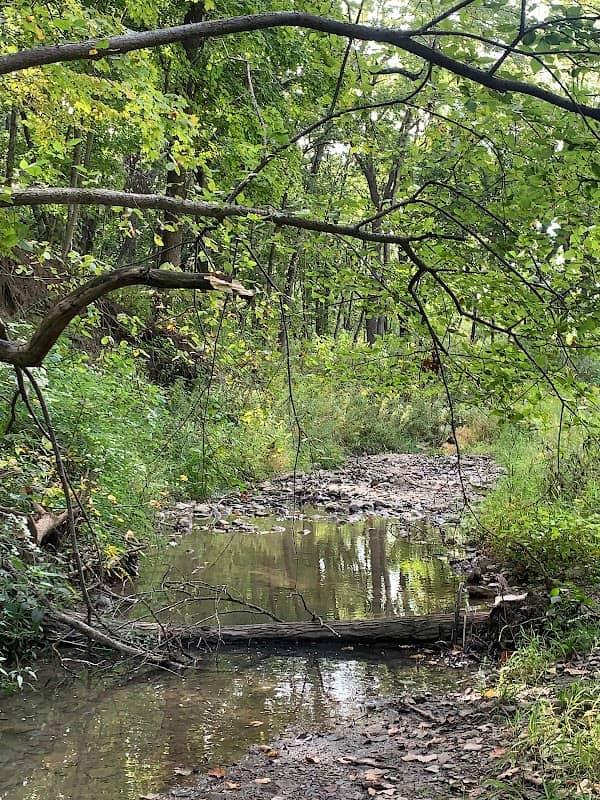 Coal Miner's Park - Image 1