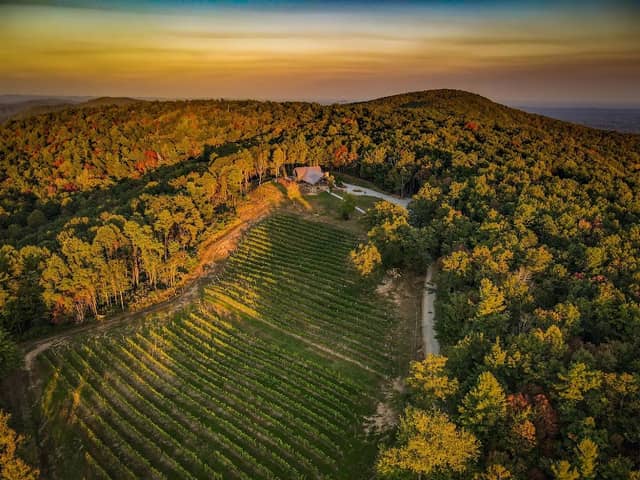 Terra Incognita Vineyard - Image 1