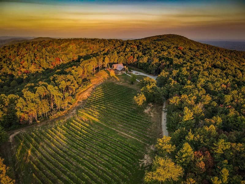 Terra Incognita Vineyard - Image 1