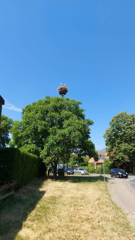 Storchennest 1 Erbstorf - Image 2