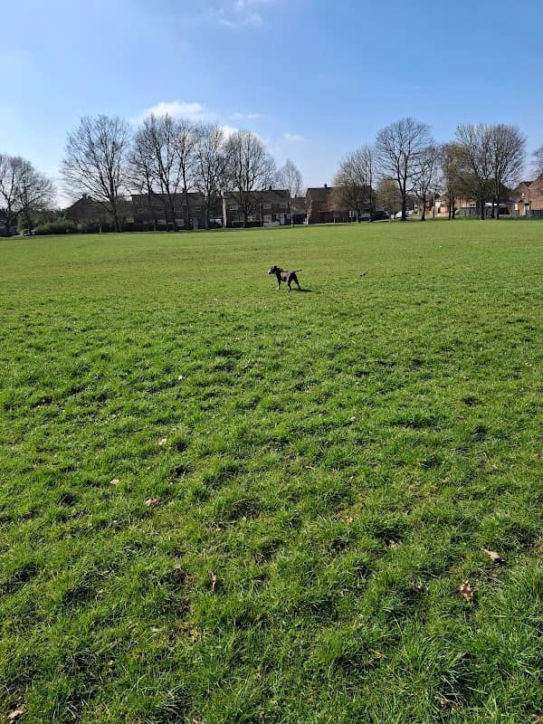 Lostock Hall Recreation Ground - Image 1