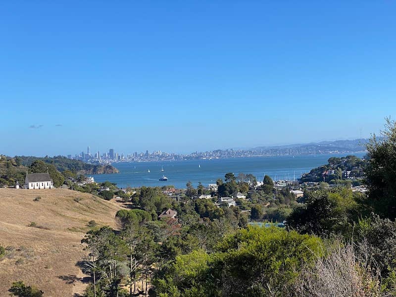 Christmas Tree Hill - Image 2