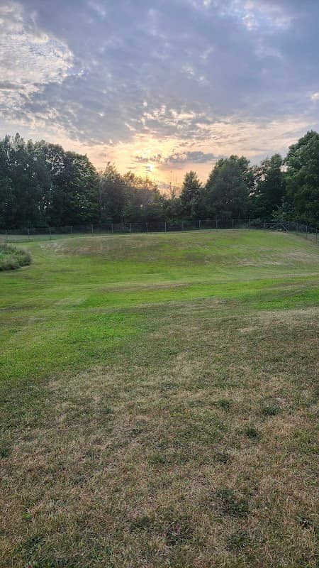 Shiloh Road Bark Park - Image 1