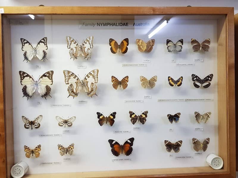 Butterfly Farm & Ski Garden - Image 1