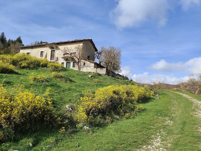 Malga Monticello di Roverè - Image 1