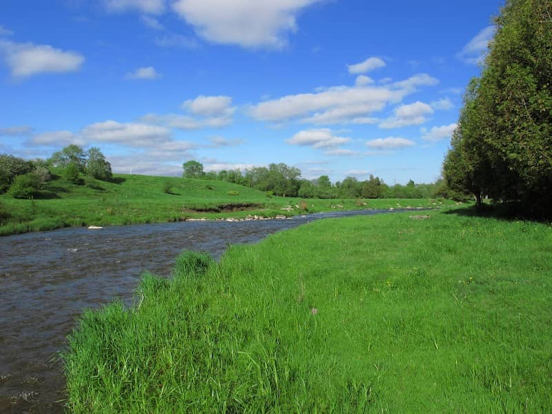 Sylvan Glen Conservation Area - Image 2