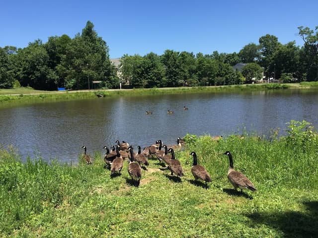 Dorchester Lake Park - Image 1