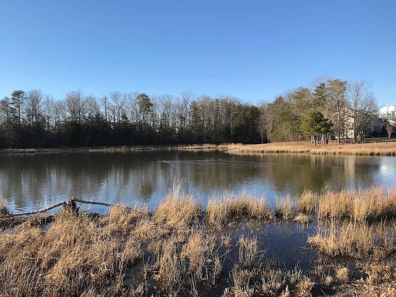 Dorchester Lake Park - Image 2