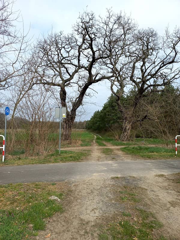 Ścieżka rowerowa - Image 1