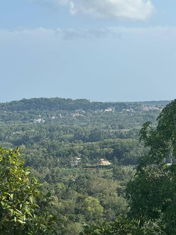 Jaf Rock - Image 1