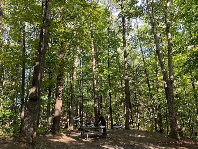 Max V. Shaul State Park - Image 2