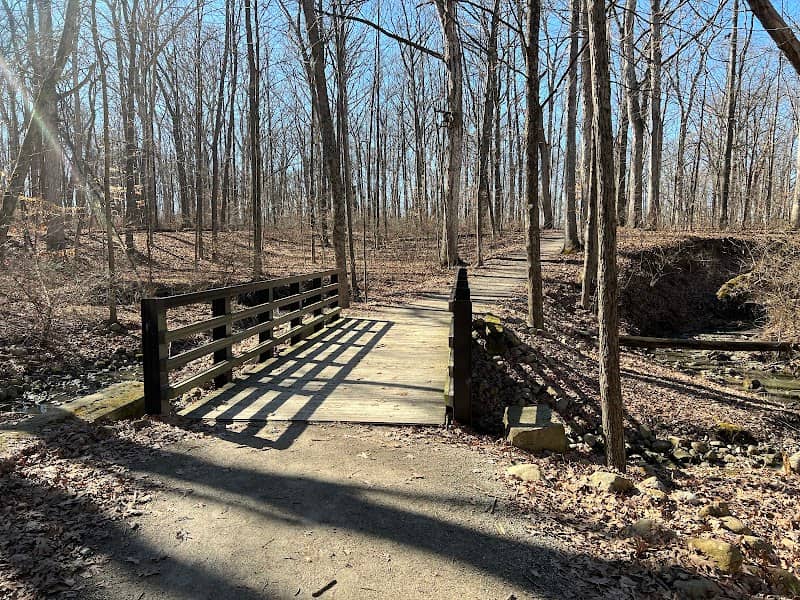 Maclvor Woods Loop - Image 2