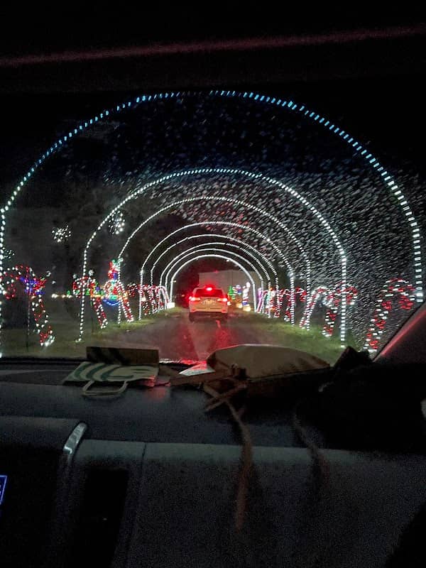 Cuero's Christmas In The Park - Image 1