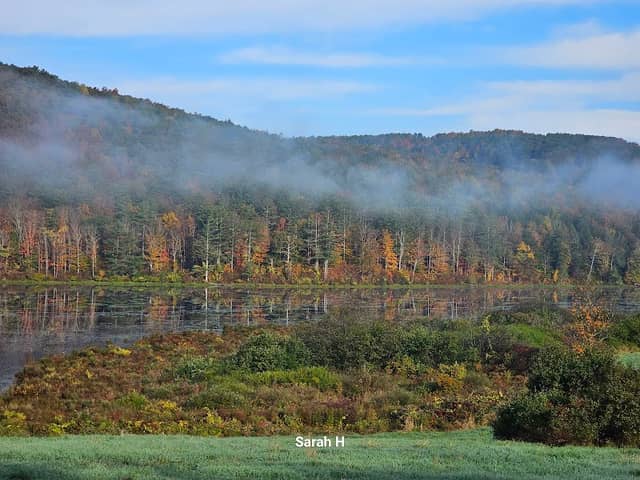 Franklinton Vlaie Wildlife Management Area - Image 1