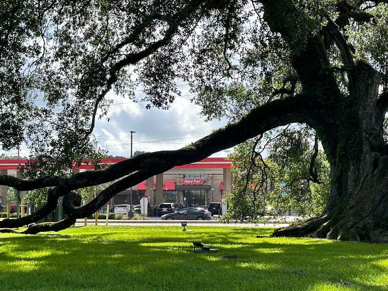 Hammond Square Oak - Image 1