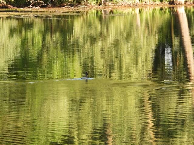 Auwaldsee-Selfie-Bänkle 4 - Image 2