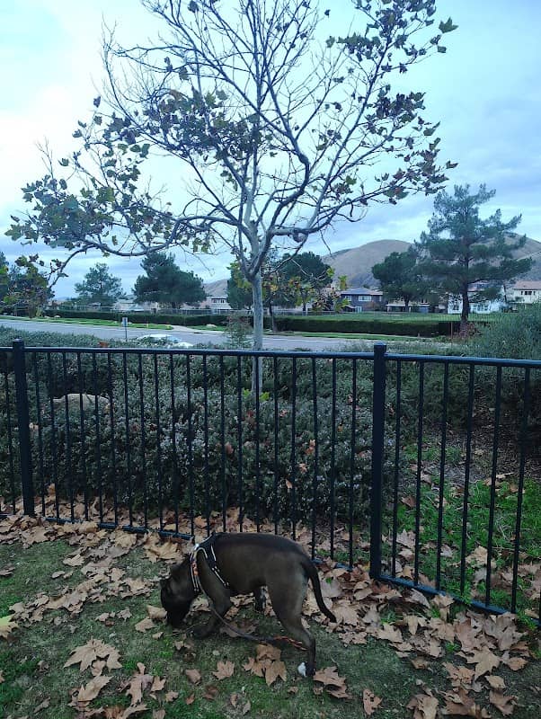 5th Street Dog Park - Image 1