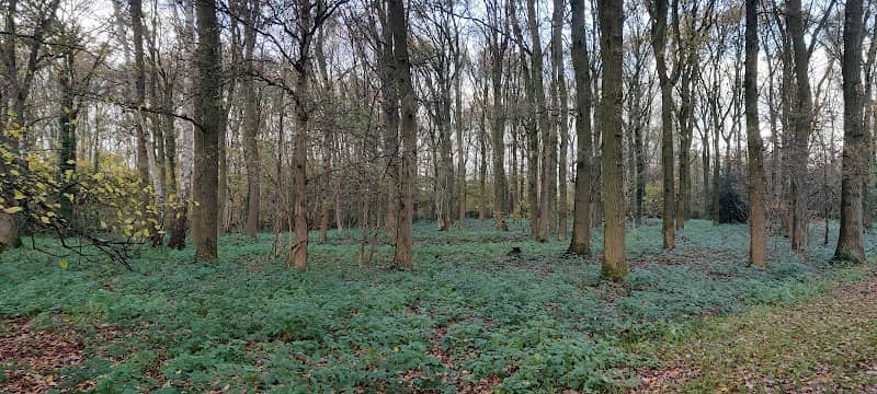 Kaaigraaf - Image 1
