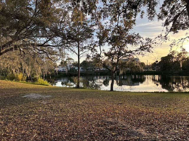 Lake Rose - Image 1